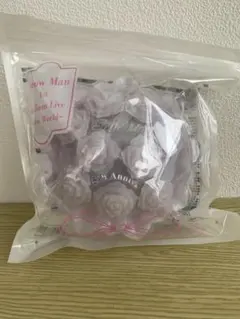 SnowMan 1st Stadium Live Snow Worldペンライト