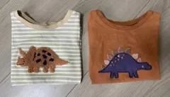 半袖 Tシャツ 恐竜 ブラウン ベージュ 刺繍 男の子 保育園 80