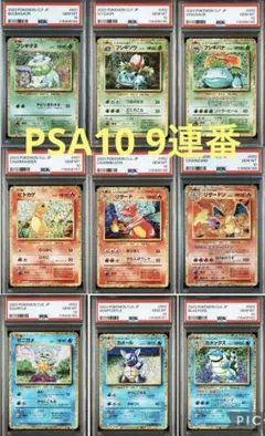 【PSA10/9連番】classic 御三家進化ライン　ポケモンカード