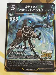 2026年最新】蟲神器ゴライアスオオツノハナムグリの人気アイテム