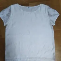ナチュラルビューティーベーシック　レースTシャツのサムネイル