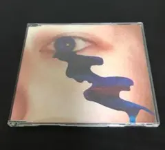 邦楽CD　ザ・バックホーン「サニー」