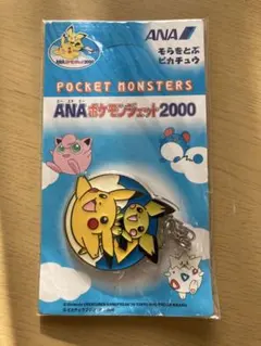 2026年最新】ANA ポケモンジェット2000の人気アイテム - メルカリ