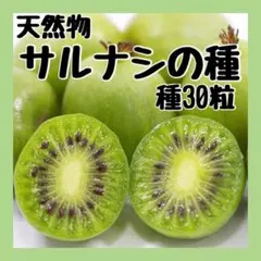 豆すけ様 リクエスト 4点 まとめ商品