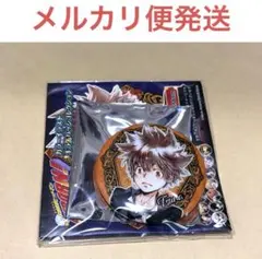 家庭教師ヒットマンreborn コレクション缶バッジ 沢田綱吉 ツナ セット