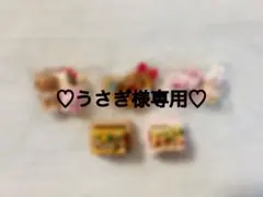 ♡うさぎ様専用♡