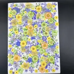 Makana noheA様 リクエスト 2点 まとめ商品