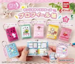 サンリオキャラクターズ プロフィール帳 チャーミーキティ