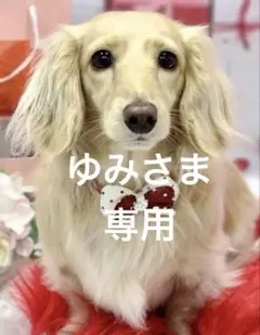 ゆみさま♡専用