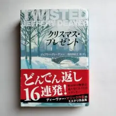 クリスマス・プレゼント　【単品、美品】