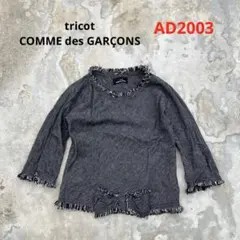 コムデギャルソンオム AD2003 3本針 カバーオールジャケット コムデギャルソンオム AD2003 3本針 カバーオールジャケット