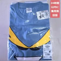【新品未使用】　EUIC NAIC 2025 Tシャツ　コダック 新品未使用】 EUIC NAIC 2025 Tシャツ コダック - メルカリ