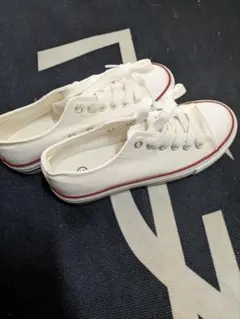 Item thumbnail for item 8109b0c5-c123-49c8-834a-2a9465d0c14c