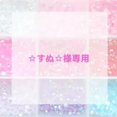 ☆すぬ☆様専用ページ