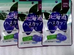 北海道ハスカップグミ 3袋 ぐみ グミ おやつ お菓子