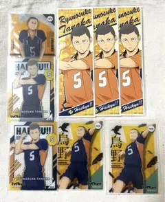 ハイキュー‼︎ 田中龍之介　8点セット