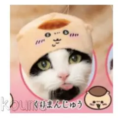 ちいかわ かわいいかわいい ねこのかぶりもの 猫 ガチャ くりまんじゅう ペット