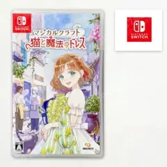 【美品】マジカルクラフト 猫と魔法のドレス Switch 箱付き