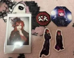 Royz 公大 チェキ・フレークシールセット