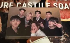 ENHYPEN THE SIN:VANISH JPver. 団体トレカ