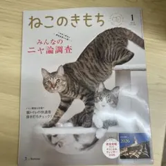 Item thumbnail for item e2607d96-a7d7-4dce-a1a2-65947d4213b2