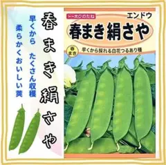 ＊樫花＊様 リクエスト 2点 まとめ商品