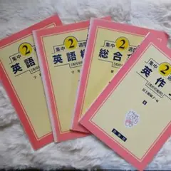 ◆高校英語⁄集中2週間 英語学習参考書⁄英語長文⁄英語構文⁄英語総合⁄英作文 ◆