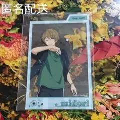 あんさんぶるスターズ あんスタ おでかけ フォトコレ Light 流星隊 高峯翠