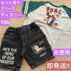 Item thumbnail for item 4477c850-558e-4262-9bae-5b083b2a2d6c