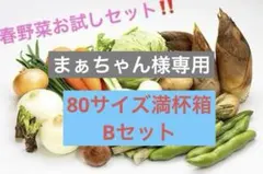 まぁちゃん様専用