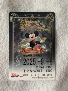 2025年最新】ディズニーリゾートライン フリーきっぷの人気