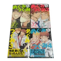 めぐみとつぐみ 1-4巻セット BL 漫画