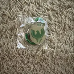東京ヴェルディ カラビナキーホルダー