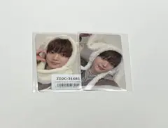 &TEAM EJ ウィジュ 雪明かり アニマル トレカ