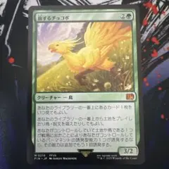 2025年最新】mtg foil 旅するチョコボの人気アイテム - メルカリ