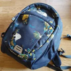 THE NORTH FACE SMALL DAY リュック