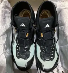 Item thumbnail for item 6523fbee-6f7e-488b-bfaf-a5e05ad78f04