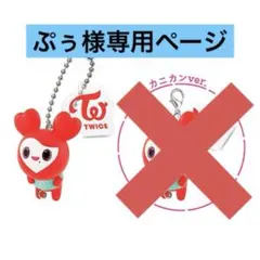 ぷぅ様専用ページ