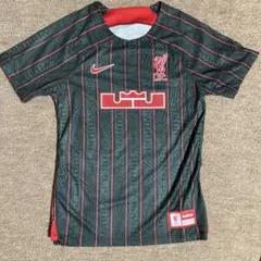 Item thumbnail for item e6640382-a380-4d3a-9c0d-9067d3fcaa1d