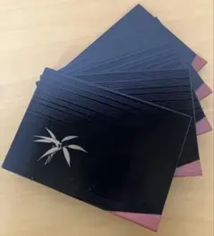 未使用 箱入り漆器 越前河和田塗 清流 隅折盛皿 5枚