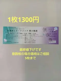기후 국제 뮤직 페스티벌 콘서트 티켓