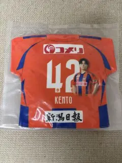 アルビレックス新潟　ガラポン　プレーヤーズミニクッション　42橋本健人
