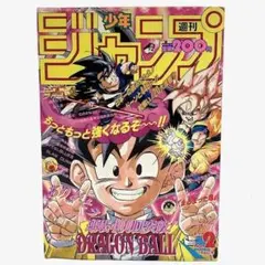 1993年 週刊少年ジャンプ11号 ドラゴンボール表紙 鳥山明 当時物 1993年 週刊少年ジャンプ11号 ドラゴンボール表紙 鳥山明 当時物