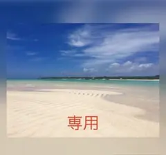 専用ページ⸜❤︎⸝‍