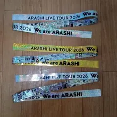嵐We are ARASHI⭐︎銀テフルサイズ各1本2種類セット＋おまけ紙吹雪