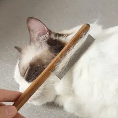 Item thumbnail for item d58b35f9-dec2-4da5-8c31-89b7b1488299