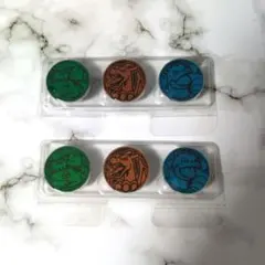 スペシャルデッキセットex フシギバナリザードンカメックス　コイン 2個セット