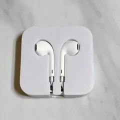 Apple with Lightning Connector(Apple付属品)