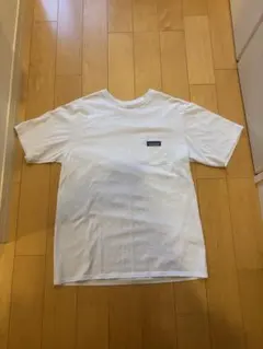 patagonia パタゴニア レスポンシビリティー　　Tシャツ