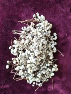 cciie様 リクエスト 2点 まとめ商品